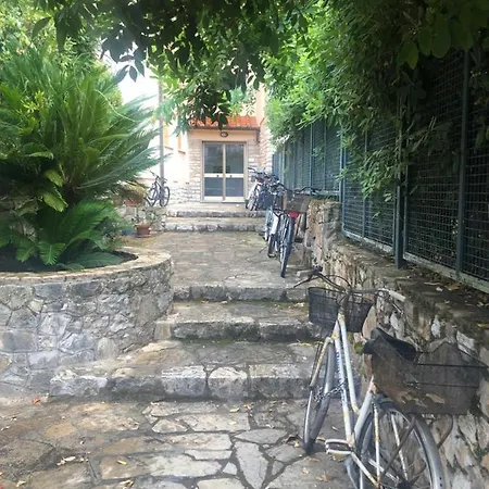 Tender Apartment Tirrenia