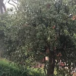 Tender Tirrenia